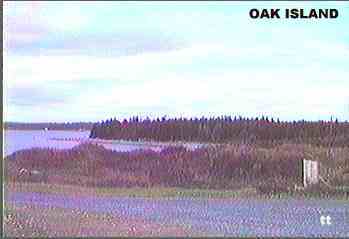 tt-oak-island6.jpg